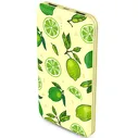 Power Bank Usams US-CD58 10000 mAh (Лайм)